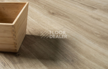 IVC Ultimo (DryBack) IVC Ultimo 24219Q фото 10 | FLOORDEALER